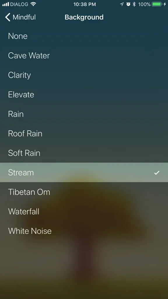 A screenshot of the Oak app, showing the background noise selection menu, which includes options such as rain, roof rain, cave water, stream, and white noise