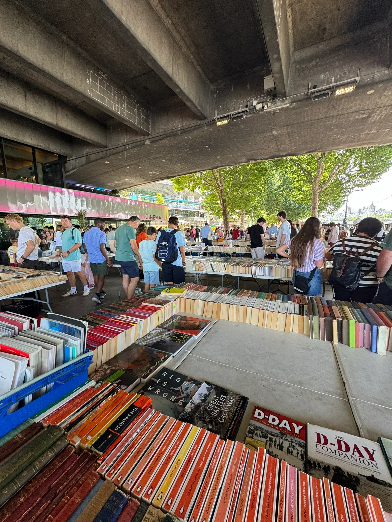 The book market from another angle, with many books neatly arranged in rows on tables spread throughout. People are walking through the pods of tables and browsing.