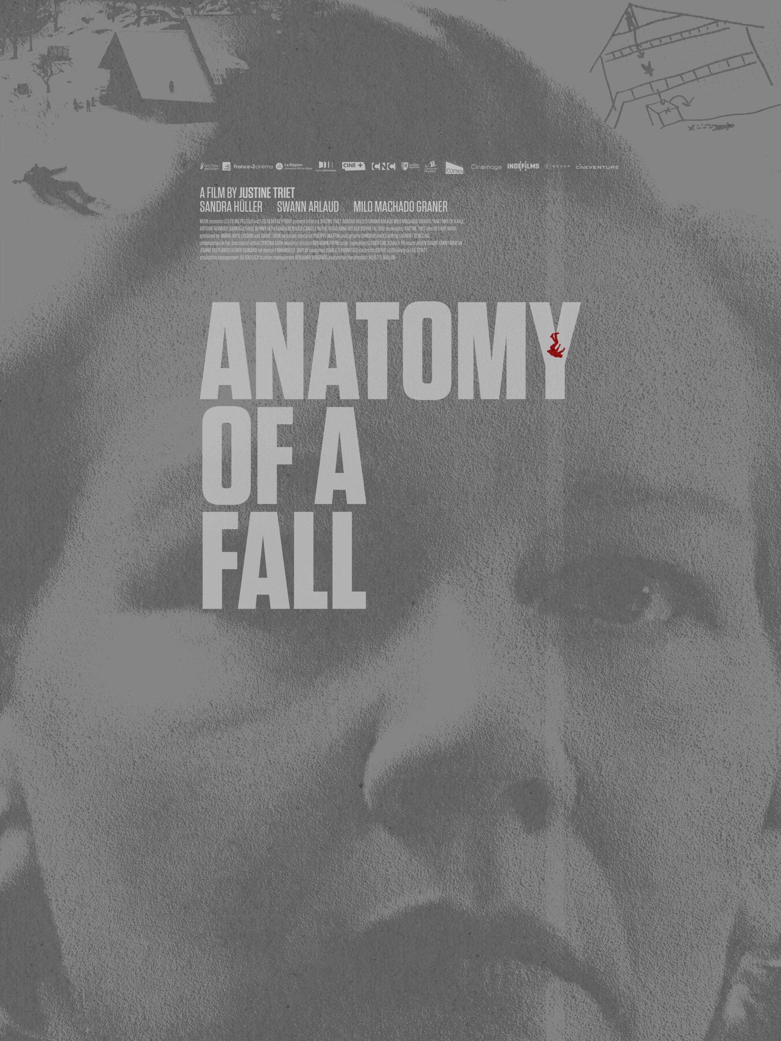 Sandra Huller's face overlayed with the film title