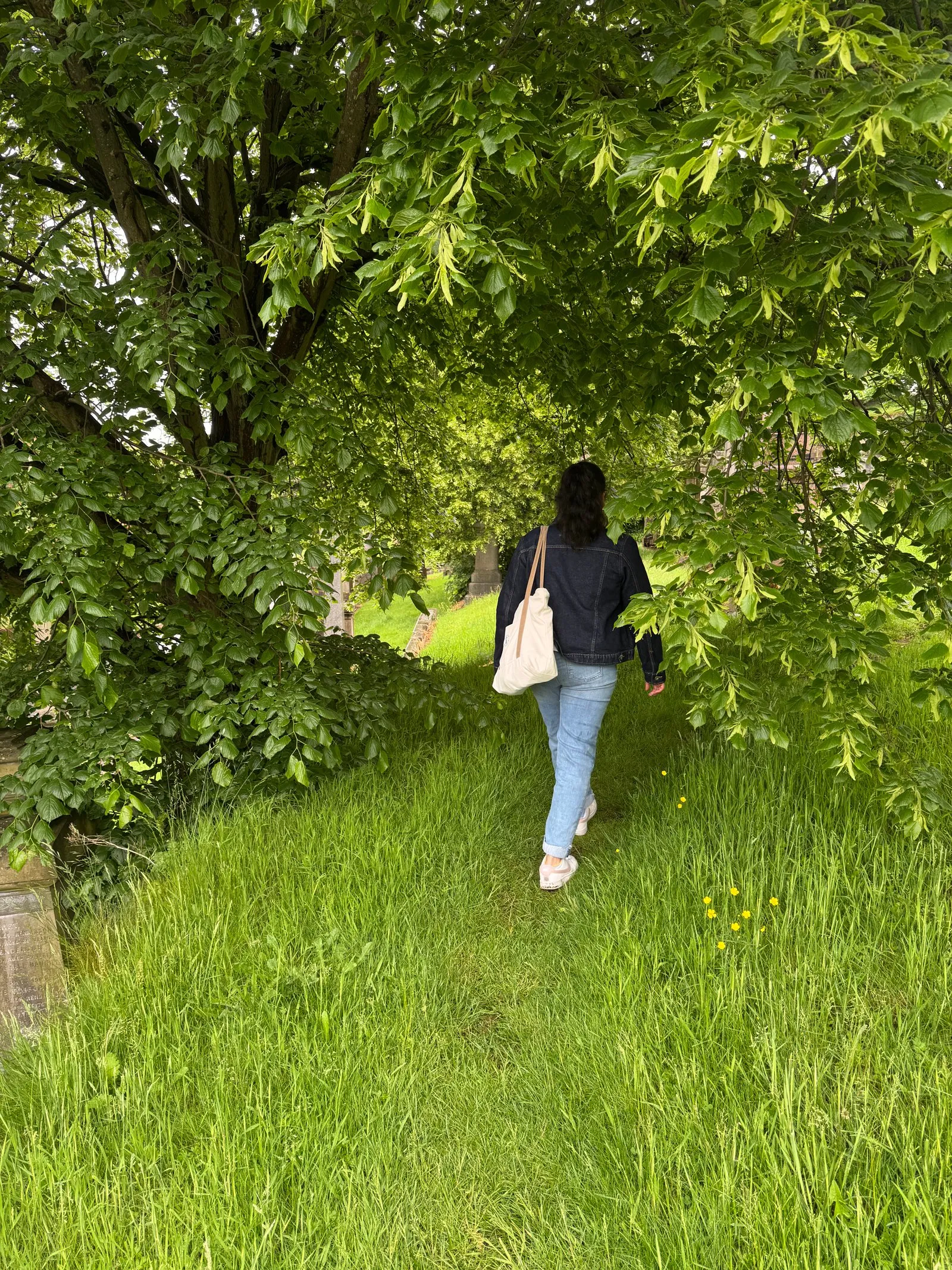 Nuwani walking on a small footpath inside the necropolis, through tree branches that form a natural arch overhead