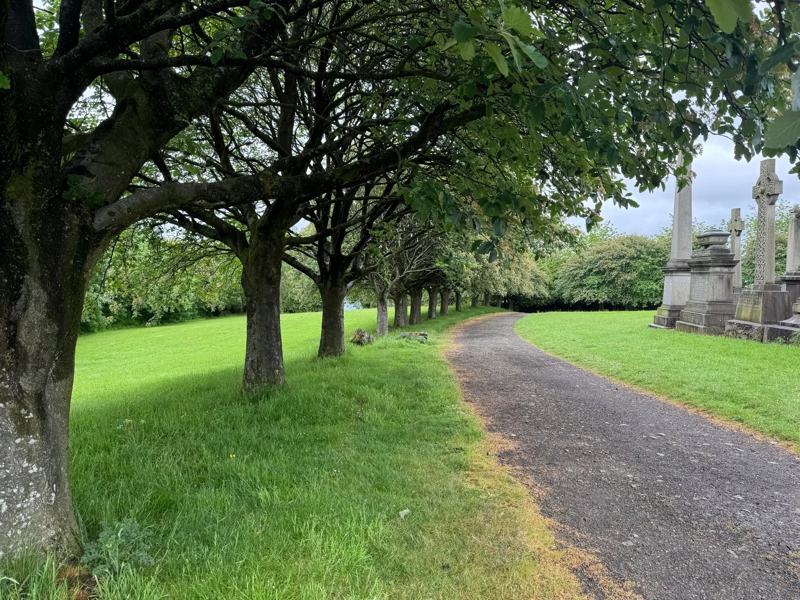 Trees along a walkway inside the necropolis