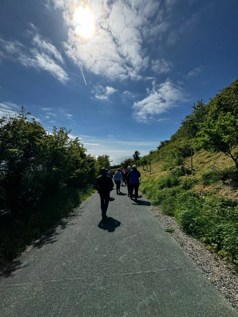 A group of people, wearing hard hats and walking boots, walking away from the camera, while the sun shines brightly overhead.