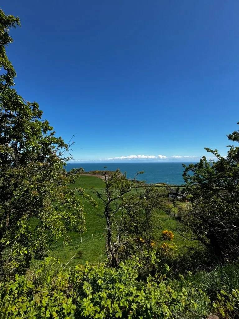 A view of the sea as seen through the trees. The sea is a greenish blue in colour against the vibrant greens of the foliage.