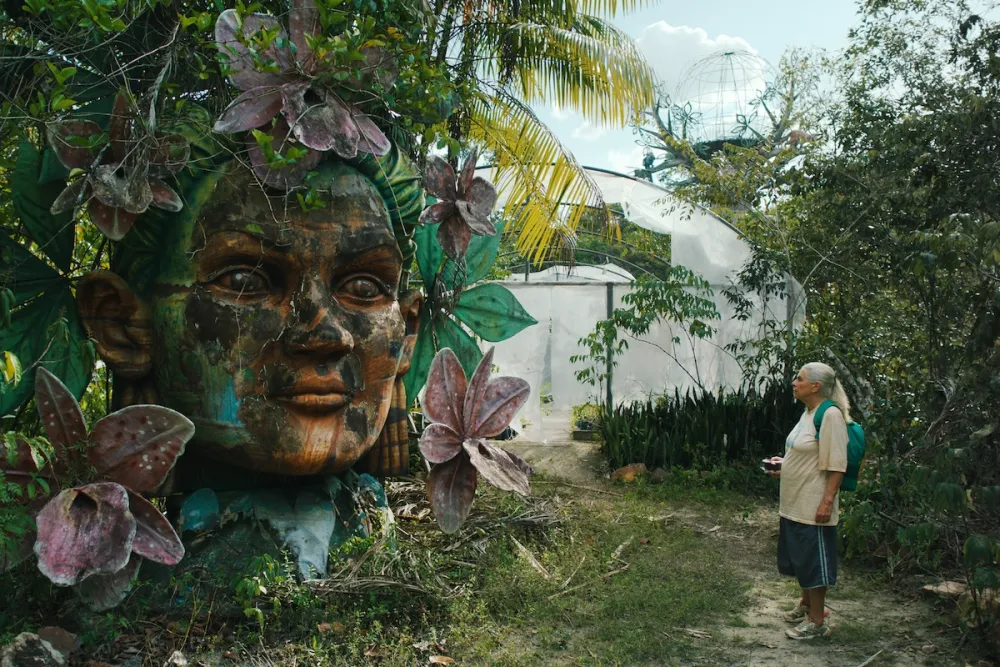 Catharsis through film